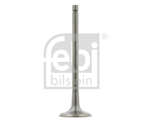 Intake Valve